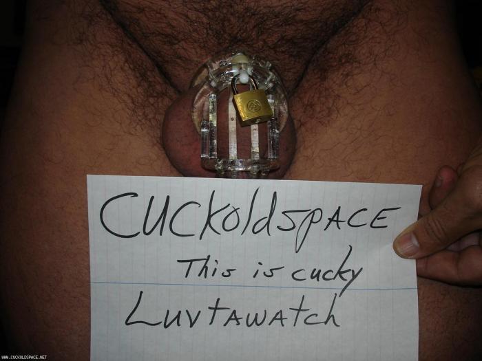 cucky luvtawatch