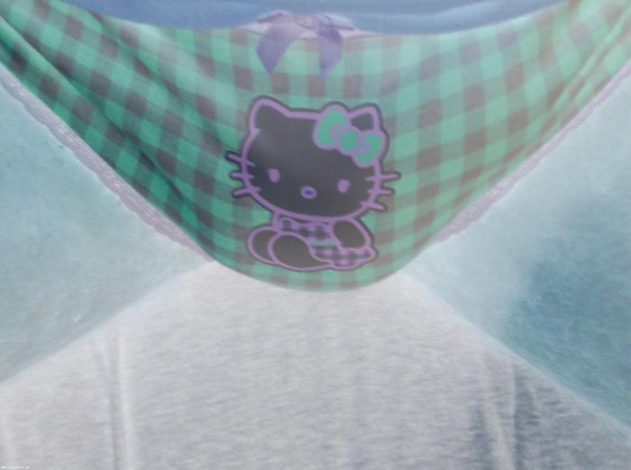 Wearing my pretty Hello Kitty panties. Meow. [reversed colors]