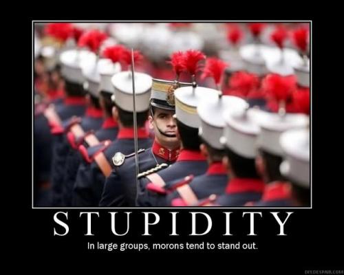!stupidity