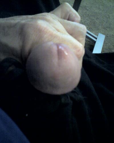 COCK08182