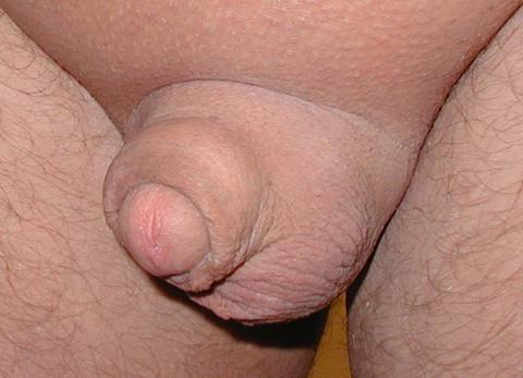 LongIslandSissyBoy tiny shaved cock