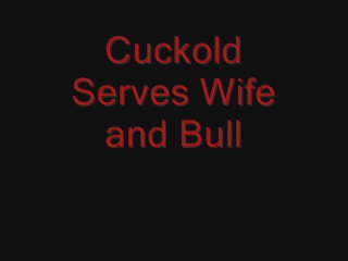 sissy serves wife and bull
